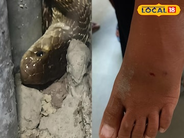 এক কামড়েই মৃত্যু! ঘরের ভেতরেই ঘাপটি মেরে ওটা কী! আতঙ্কে শিউরে উঠছে গ্রামবাসী এক কামড়েই মৃত্যু! ঘরের ভেতরেই ঘাপটি মেরে ওটা কী! আতঙ্কে শিউরে উঠছে গ্রামবাসী