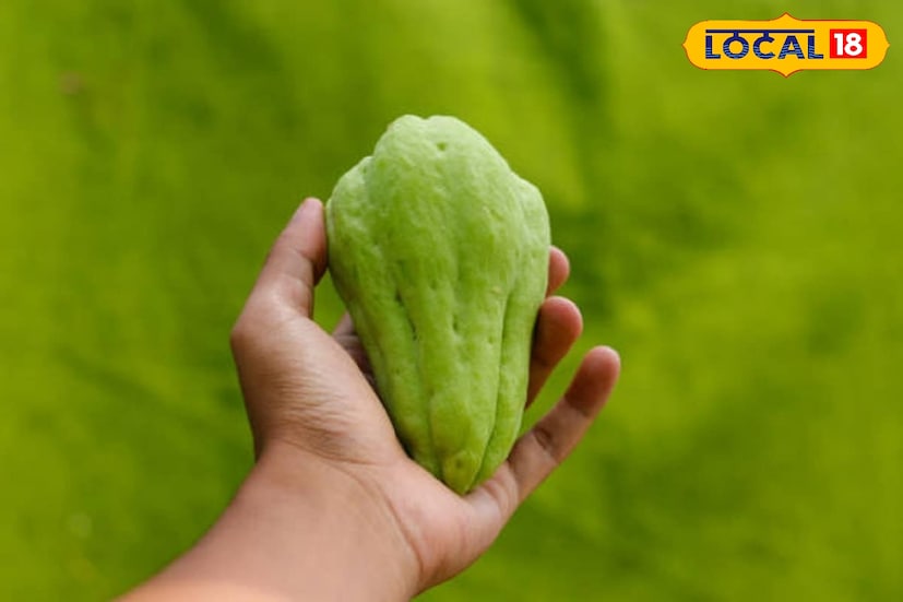 স্কোয়াশে রয়েছে ডায়েটারি ফাইবার। এই সবজি হজমশক্তি বাড়ায়,কোষ্ঠকাঠিন্যের সমস্যা থেকেও মুক্তি দেয়। ক্যালোরি নেই বলে স্কোয়াশ ওজন কমাতে উপকারী। 