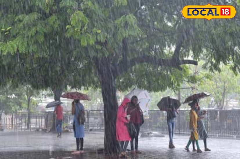 কোচবিহার এবং মালদহে বজ্রবিদ্যুৎ-সহ ভারী বৃষ্টির সম্ভাবনা রয়েছে। দার্জিলিং, আলিপুরদুয়ার, কালিম্পং ছাড়া বাকি জেলাগুলিতে হতে পারে মাঝারি বৃষ্টি।