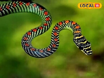 ভয়ঙ্কর