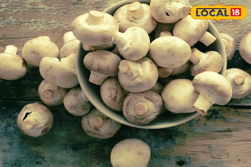 মাশরুমের মধ্যেও প্রচুর পরিমাণে ভিটামিন-ডি পাওয়া সম্ভব। তাই যদি কেউ মাছ, ডিম না খেতে চান, তাহলে নিরামিষ খাবার হিসেবে মাশরুম পেতে পারেন।