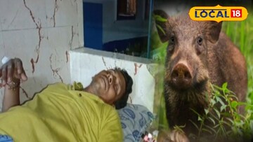 হাসপাতলে