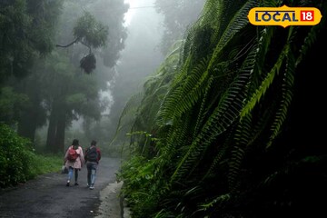 ফের বাড়বে ঝড়বৃষ্টি! উত্তরের জেলাগুলিতে জারি হলুদ সতর্কতা,দক্ষিণেও হবে বৃষ্টি
