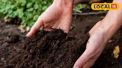 মাটি পরীক্ষা