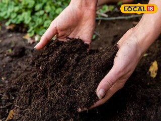 মাটি পরীক্ষা মাটি পরীক্ষা