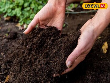 মাটি পরীক্ষা মাটি পরীক্ষা