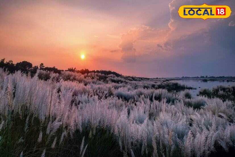 অন্যদিকে শাস্ত্র মতে গজে বা হস্তিতে দেবীর গমন রয়েছে। যার প্রভাব শস্যপূর্ণ বসুন্ধরা- অর্থাৎ ফলে ভাল ফসল উৎপাদন হয়। যার ফল শুভ। Input- Rahi Halder 