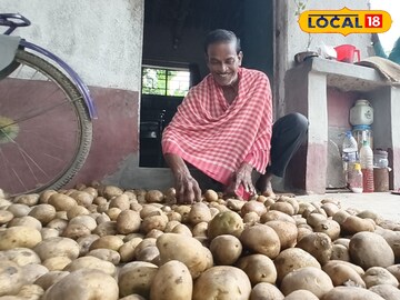 পঞ্চায়েত