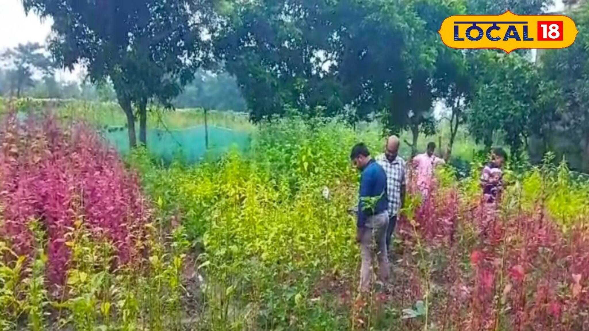 Agriculture News: হারিয়ে ‌যাওয়া বীজের চাষ ! সুন্দরবনে কৃষকদের পাশে সংস্থা