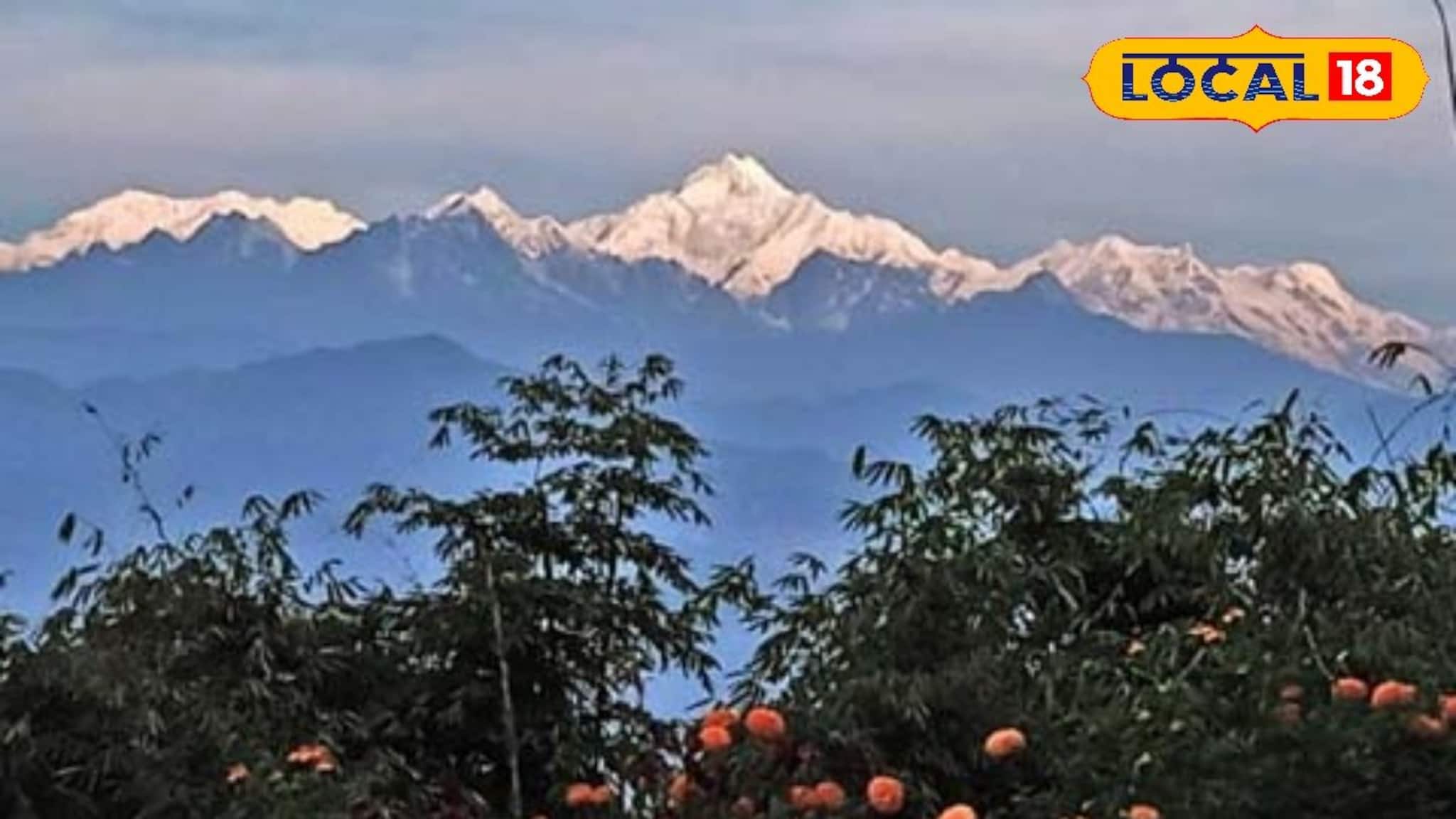 Durga Puja Travel Destination: একদম নিরিবিলি, শুধু পাখির কিচির-মিচির! একান্তে সময় কাটানোর সেরা গন্তব্য, পুজোয়ে ঘুরে আসুন