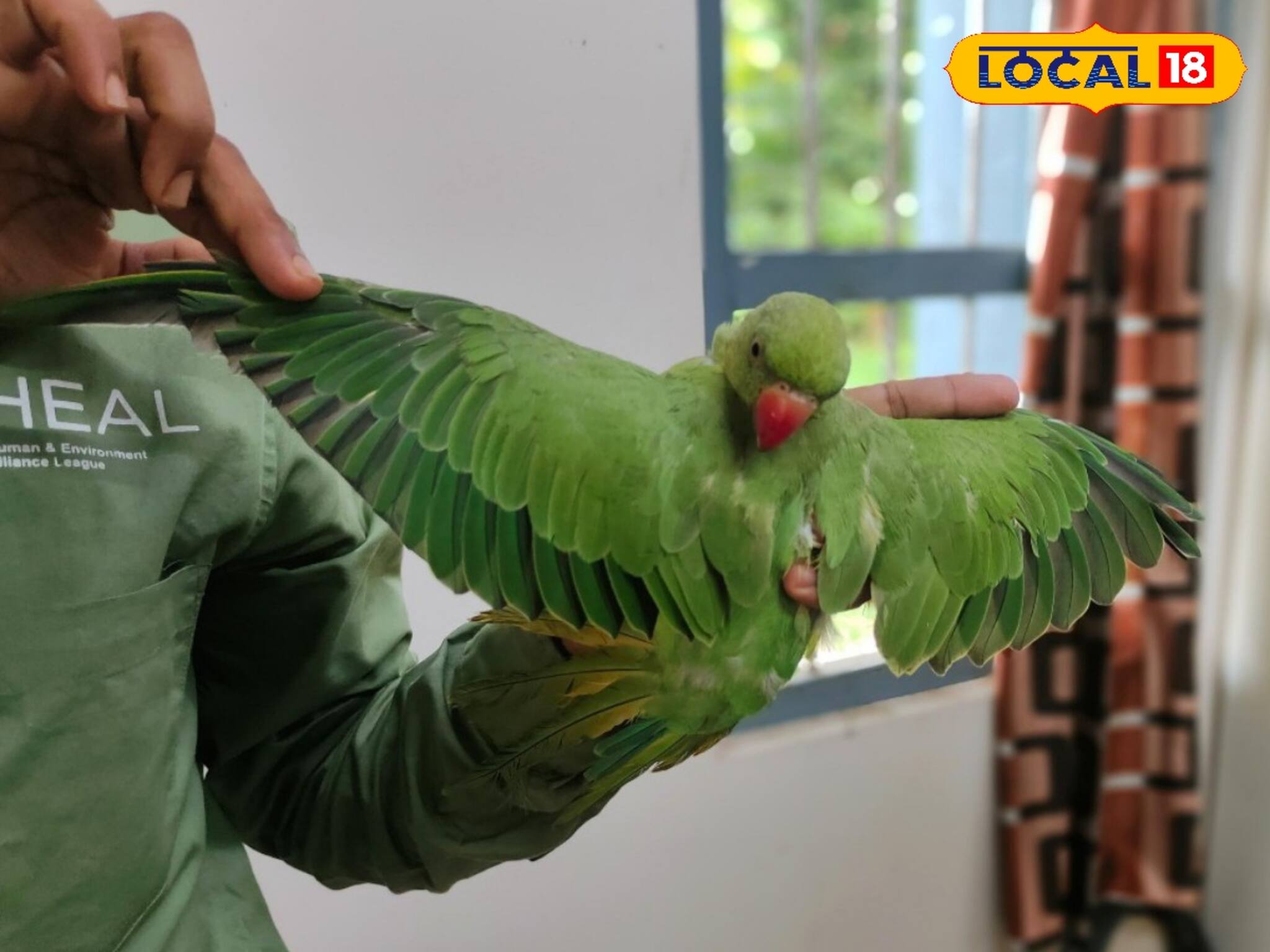 দিব্যি বাড়িতেই পুষছিলেন, রাস্তা দিয়ে নিয়ে যাওয়াই কাল হল! যা করল বন দফতর...