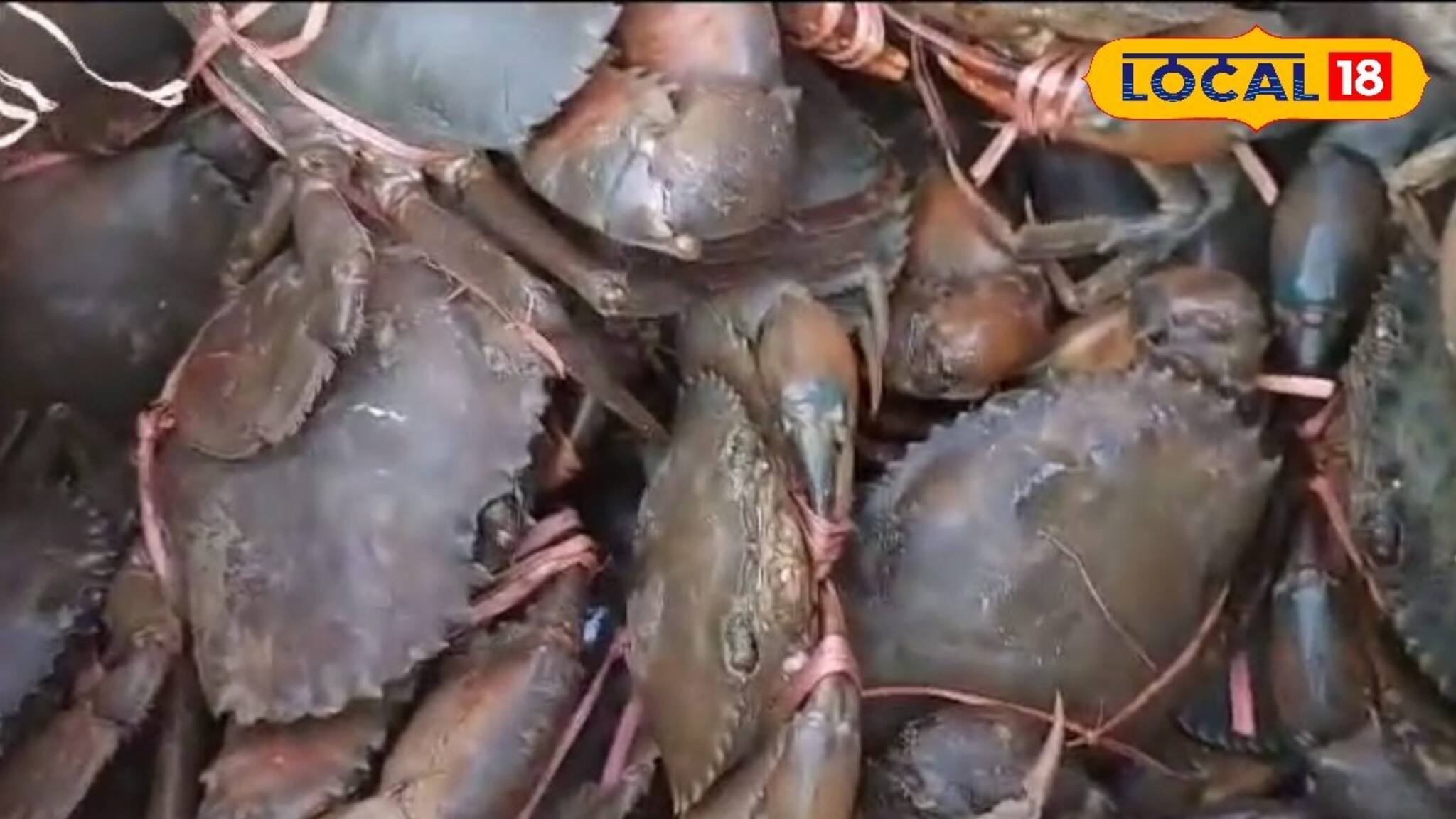 কাঁকড়ায় মজে মন, সমুদ্র সৈকতের সীমানা ছাড়িয়ে জেলার বাজারেও চাহিদা তুঙ্গে