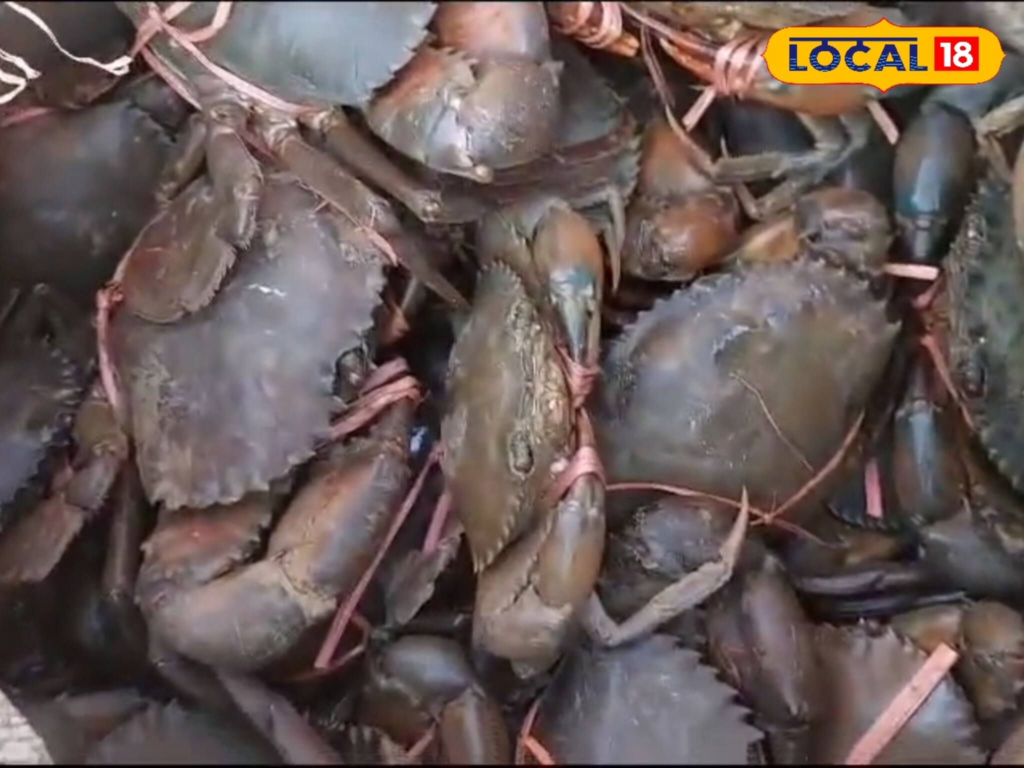 কাঁকড়ায় মজে মন, সমুদ্র সৈকতের সীমানা ছাড়িয়ে জেলার বাজারেও চাহিদা তুঙ্গে