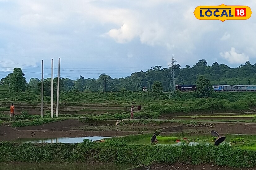 ফিকালেগাঁও: ফিকালেগাঁও পাহাড়ের কোলে থাকা একটি ছোট্ট অজানা গ্রাম। সাংসে খাস মহলের মধ্যে এই গ্রামে থেকে কাঞ্চনজঙ্ঘার মন মাতানো দৃশ্যের সঙ্গে আনন্দ বেশ উপভোগ্য । উত্তর বঙ্গের একমাত্র আপেল বাগান এখানেই আছে। নিউ জলপাইগুড়ি বা শিলিগুড়ি থেকে ৭৮ কিলোমিটার রাস্তা পেরোলেই গন্তব্য।