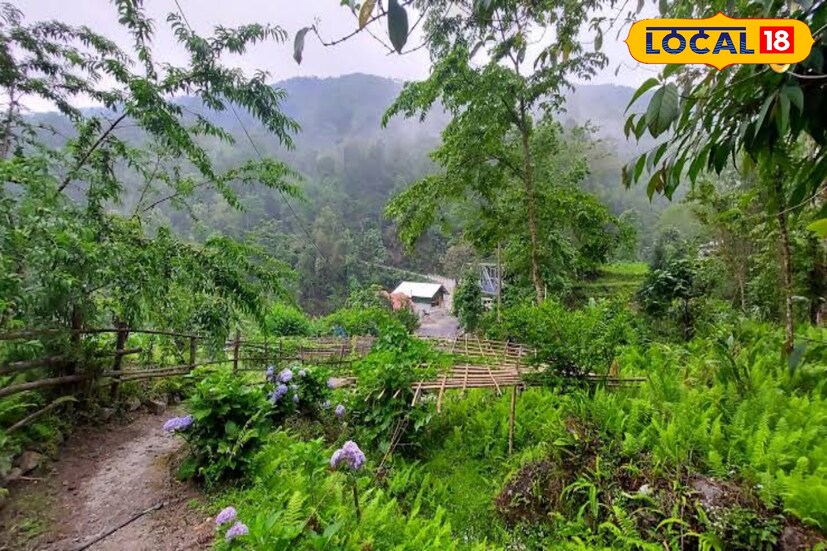 বেনদা: কালিম্পং-এর কাছেই পাহাড়ের কোলে রয়েছে এই ছোট্ট পাহাড়ি গ্রামটি। পর্যটকদের রাতযাপনের সুবিধার্থে ছোট ছোট কটেজ রয়েছে, রয়েছে পাহাড়ি খাবারের সম্ভার । ঝরনা, নদী, পাহাড়িয়া সবুজ গাছপালার সৌন্দর্যের মাঝে নজর কাড়ে চারপাশের বাহারি ফুলের সৌন্দর্য। এখনও লোক পরিচিতি খুব একটা হয়নি বলে খানিকটা নিরিবিলিই থাকে এই ভিউ পয়েন্টটি। তাই আসার আগে হোমস্টে বুক করে আসাই শ্রেয়। 