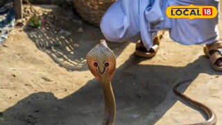 প্রতিকি ছবি