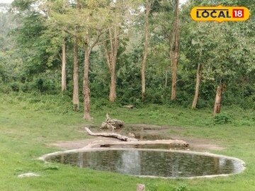 আড়াই