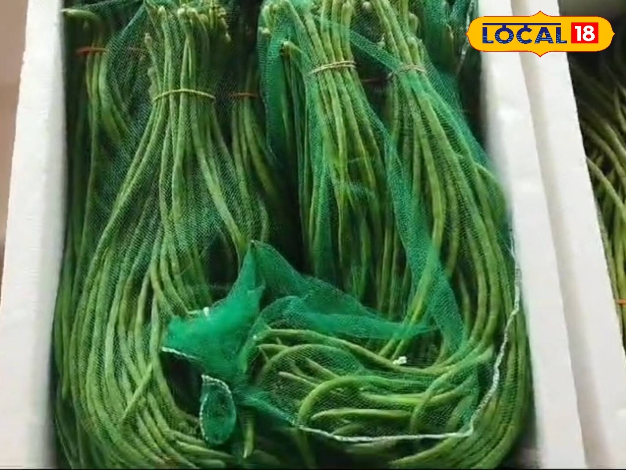 লম্বা-লম্বা, সরু সরু এই সবুজ সবজি, চাষিরা লালে -লাল হয়ে যাচ্ছেন, বিদেশেও বাজার