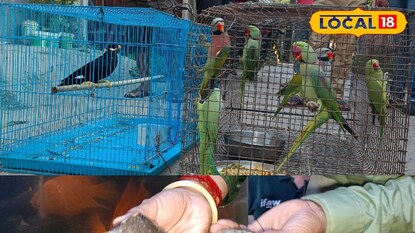 আচমকাই বন দফতরের বিশেষ অভিযান এক বাড়িতে! যা উদ্ধার হল, চমকে গেলেন এলাকার মানুষ