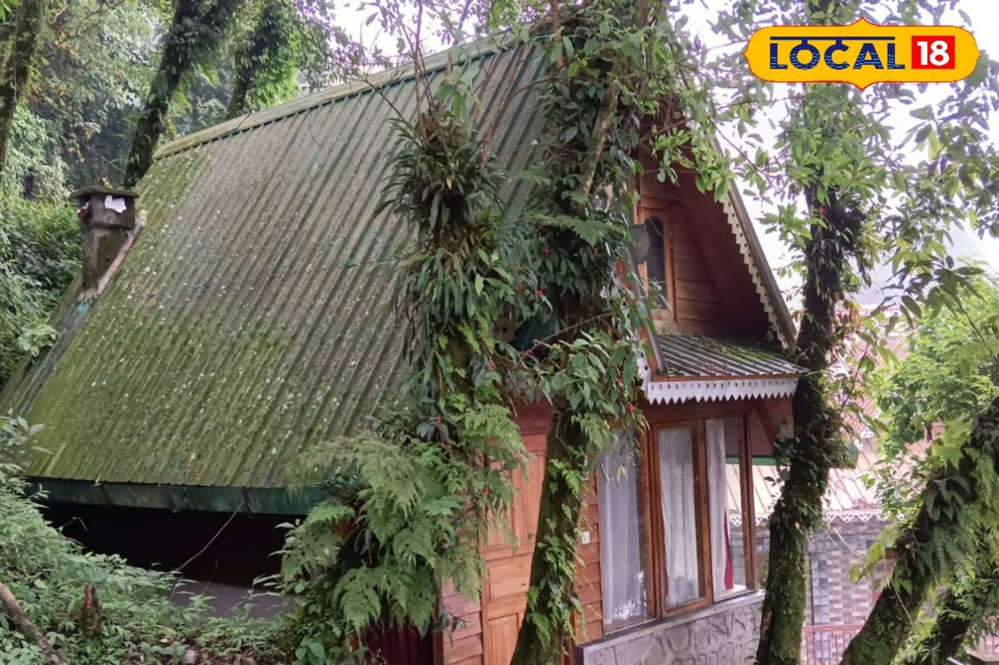 ব্রিটিশ বাংলোয় বারবিকিউতে ঝলসানো মাংস, পাহাড়িয়া জঙ্গলে ছুটি কাটান বন্য আনন্দে
