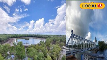 সুন্দরবনের