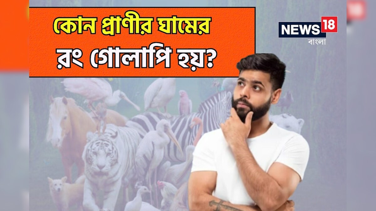 GK: রক্তের রং লাল ঘামের রং গোলাপী! বলুন তো কার? উত্তর অজানা অনেকের
