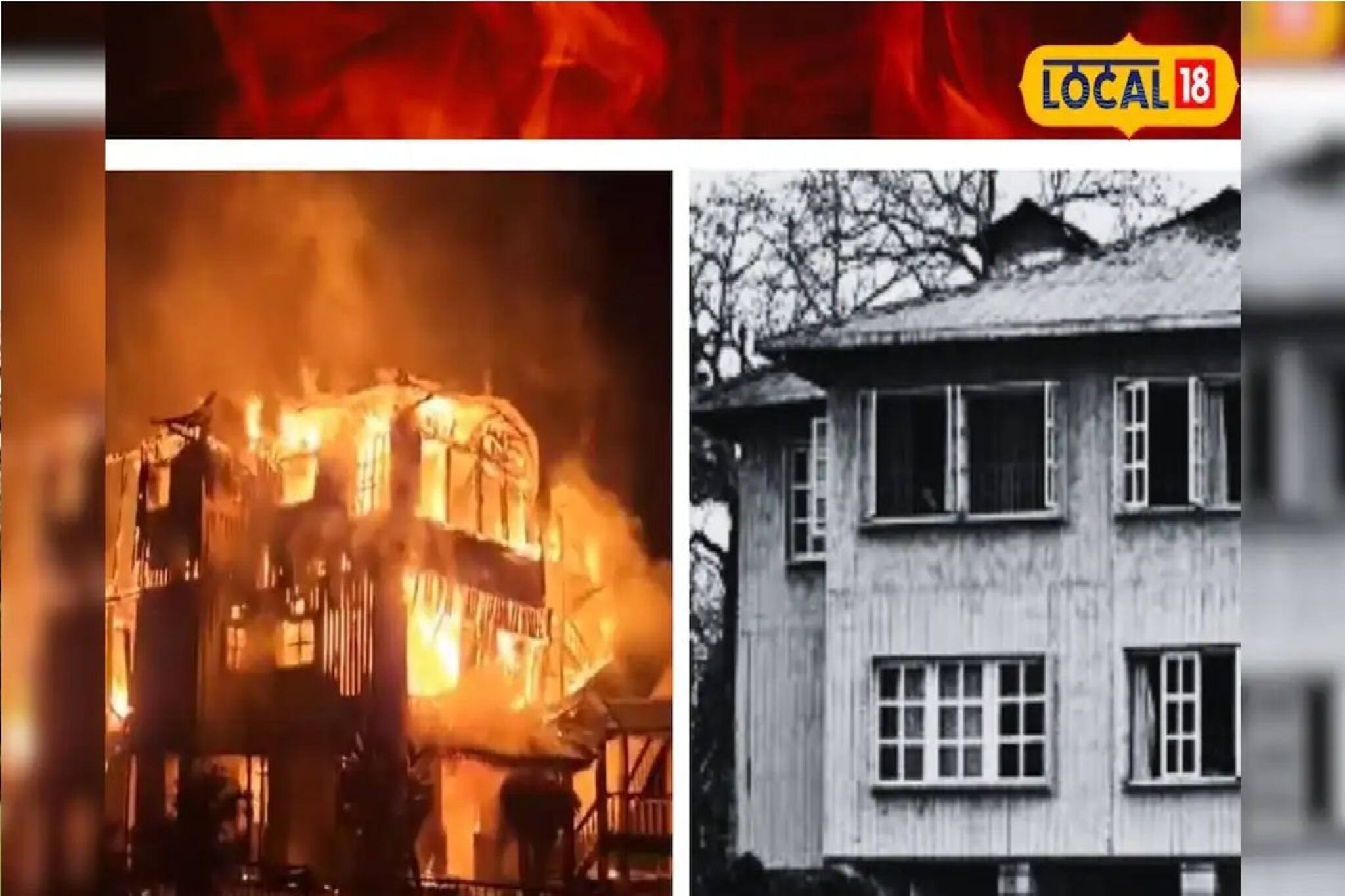 পুজোর আগেই খুলছে 'নতুন' হলং বনবাংলো? গুজবে কান না দিয়ে, আসল খবর জানুন