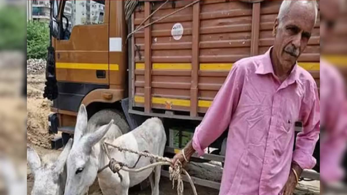 হরিয়ানার রাস্তায় দুটো গাধা নিয়ে ঘুরছেন প্রাক্তন IAS অফিসার!কারণ জানলে চমকে যাবেন