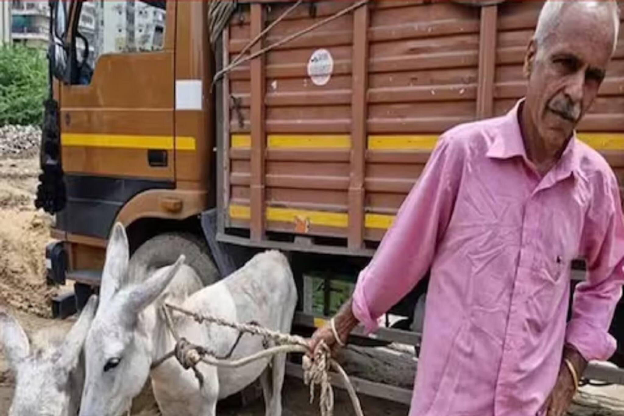 হরিয়ানার রাস্তায় দুটো গাধা নিয়ে ঘুরছেন প্রাক্তন IAS অফিসার!কারণ জানলে চমকে যাবেন