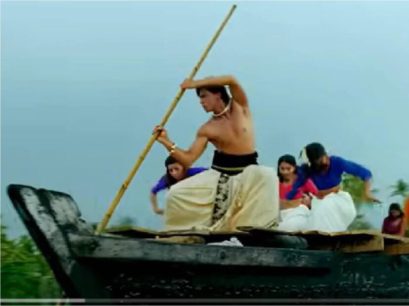 এই ছবির মাধ্যমেই প্রীতি জিনটার অভিষেক সিনেমা। এই ছবিটি অবশ্যই একটি হিট ছিল। বিশেষ করে এর একটি গান আজও মানুষের প্রথম পছন্দ রয়ে গেছে। আজও এই গানটি মানুষের মুখে মুখে।