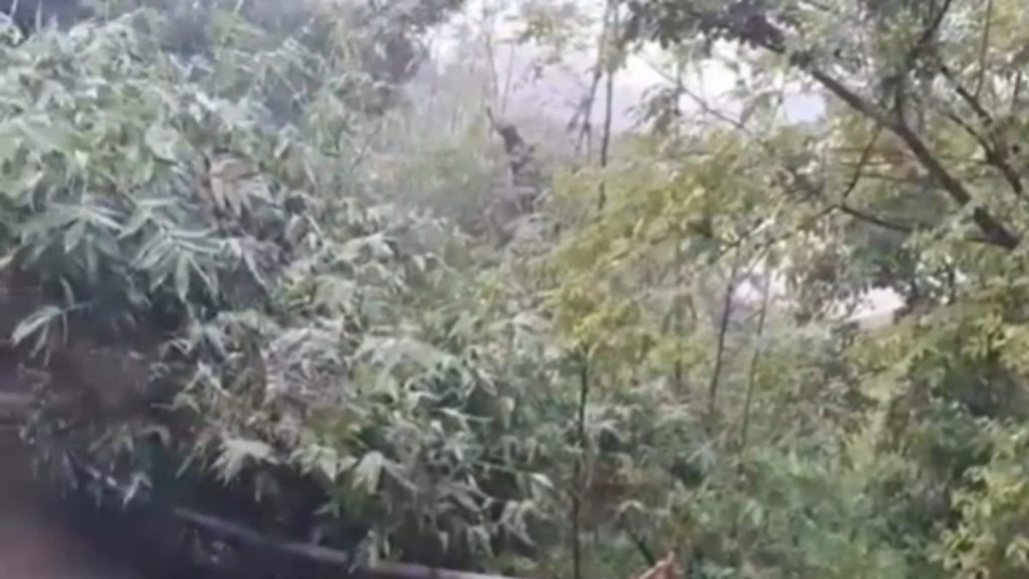 চরম আতঙ্কে কাটছে দিন! যে কোনও সময় সব শেষ? কারণটা কী