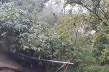 চরম আতঙ্কে কাটছে দিন! যে কোনও সময় সব শেষ? কারণটা কী