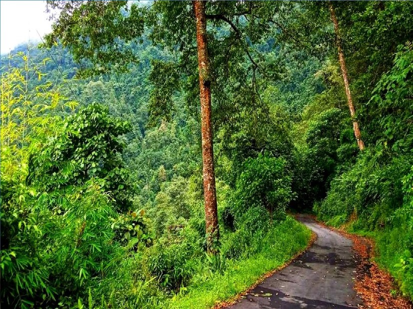 *কালিম্পং থেকে বেশি দূরেও নয় এখানকার অবস্থান। হোম স্টের ঘরে বসেই দেখা মেলে কাঞ্চনজঙ্ঘা আর তিস্তার। আবার ট্রেকের অপশনও রয়েছে। এখানে ছোট একটা ট্রেক করা যায়। সেখান থেকে ভিউ আরও সুন্দর। সংগৃহীত ছবি। 