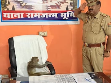 থানার বড়বাবুর চেয়ারে বসে বাঁদর, পাশে দাঁড়িয়ে তাকে স্যালুট করছেন SHO ! 