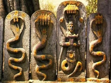 নাগ পঞ্চমীতে জ্যান্ত সাপকে দুধ খাওয়ানো উচিত না, সাতপুরুষ দোষ পাবে! জানুন