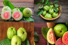 বর্ষায় চুটিয়ে পেয়ারা খাচ্ছেন? এটা খেলে কাদের সর্বনাশ? জানুন কারা এটা খাবেনই না