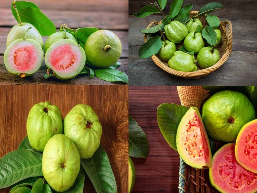 বর্ষাকালের অন্যতম ফল পেয়ারা৷ বিটনুন দিয়ে ডাঁসা পেয়ারা খাওয়ার মজাই আলাদা বৃষ্টিভেজা দিনে৷ স্বাদের পাশাপাশি এই ফলের পুষ্টিগুণও অঢেল৷ 