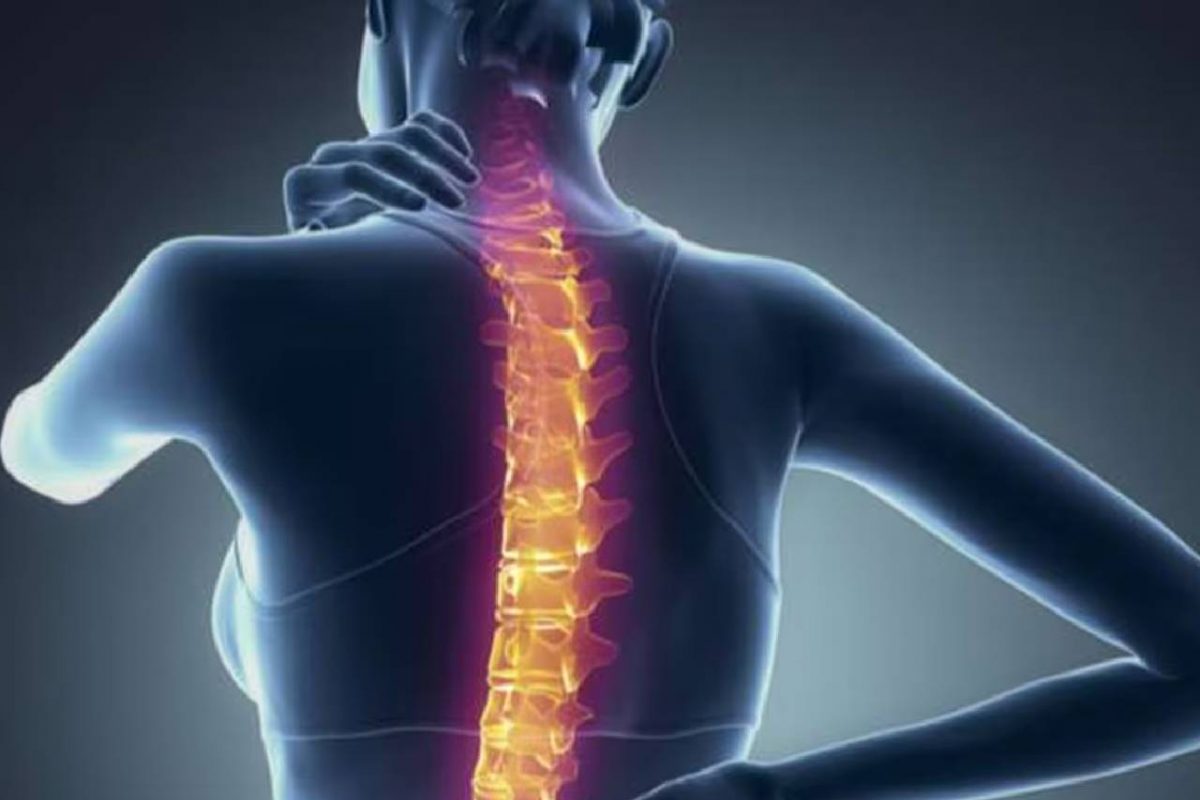 অস্টিওপোরোসিসে প্রাণ নাজেহাল! কেন হয় এই রোগ? কী কী লক্ষণ দেখে বুঝবেন, জেনে নিন অস্টিওপোরোসিসে প্রাণ নাজেহাল! কেন হয় এই রোগ? কী কী লক্ষণ দেখে বুঝবেন, জেনে নিন