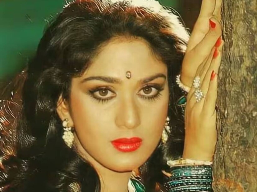 বলিউড ছাড়ার পর থেকে আর সেভাবে দেখা যায়নি মীনাক্ষীকে। ৯৮ সালে ‘স্বামী বিবেকানন্দ’ এবং ২০১৬ সালে ‘ঘায়েল: ওয়ানস এগেইন’-এ অভিনয় করেছিলেন। কিন্তু ক্যামিও চরিত্রে। তাই বলাই যায় স্বামী-সংসার-সন্তানের মধ্যেi বেঁধে রেখেছিলেন নিজেকে।
