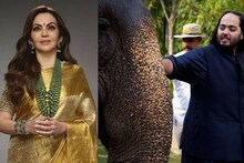 কনিষ্ঠ পুত্র অনন্ত আম্বানির বনতারা উদ্যোগের প্রশংসায় পঞ্চমুখ! কী বললেন মা নীতা