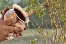ভাদ্রমাসে তুলসী গাছের গোড়ায় কীকী জিনিস দেওয়া উচিত জানেন? বিশদে জানালেন জ্যোতিষী