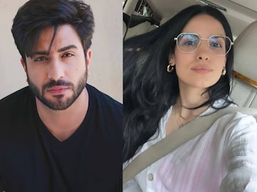 আলি-নাতাশার বিচ্ছেদের কারণ আজও অজানা