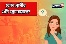 GK: বলুন তো, বিশ্বের কোন প্রাণী ৯টি মস্তিষ্ক রয়েছে? উত্তর জানলে অবাক হবেন