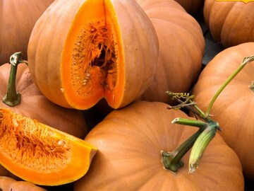 প্রতিদিন পাতে কুমড়ো থাকে তো? জেনে নিন এর গুণাগুণ