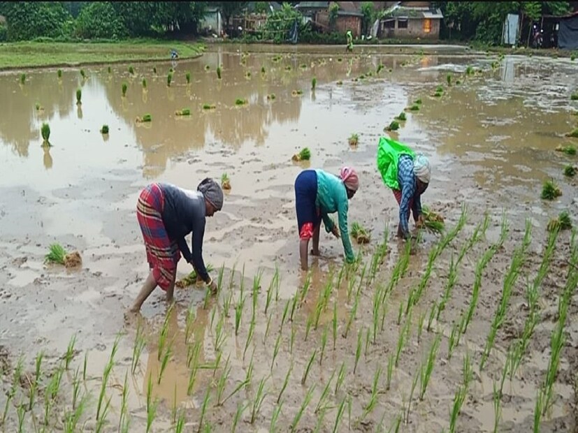 এবার আসা যার উত্তরে। উইকিপিডিয়ার তথ্য অনুযায়ী, ভারতের গ্রামের সংখ্যা পরিবর্তনশীল। শেষ ৩টি সেনসাসেই গ্রামের সংখ্যা বৃদ্ধি পেয়েছে। বর্তমানে গ্রামের সংখ্যা সাড়ে ৬ লক্ষ পেরিয়ে গিয়েছে। 