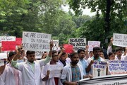 জুনিয়র চিকিৎসকদের কর্মবিরতিতে বড় প্রভাব, কমল রোগীর ভর্তি, অস্ত্রোপচারের সংখ্যা