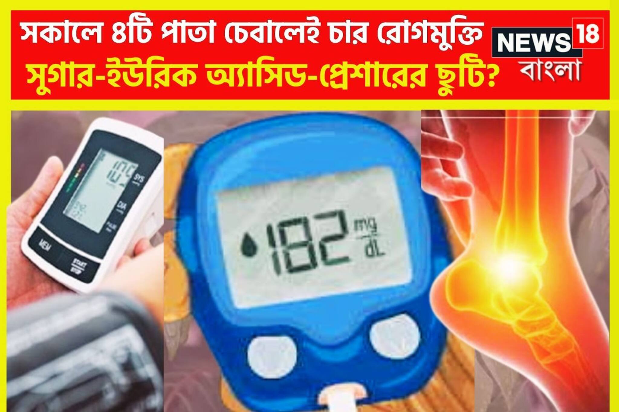 এক পাতাই চার মহারোগের ব্রহ্মাস্ত্র! সকাল সকাল চিবিয়ে নিলেই শরীর থাকবে ফিট