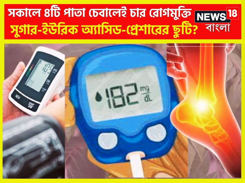 পুষ্টিতে ভরপুর এই পাতা ৷ এর বেশ কয়েকটি গুণও রয়েছে ৷ এই পাতা বিভিন্ন রান্নায় দেওয়া হয়ে থাকে স্বাদ সুগন্ধের পাশাপাশি শরীর স্বাস্থ্যের উন্নতি হতে পারে ৷ প্রতীকী ছবি ৷