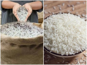 বর্ষাকালে চালে কালো পোকা! কিছুতেই তা যাচ্ছে না? এই উপায়ে সহজেই মিলবে মুক্তি