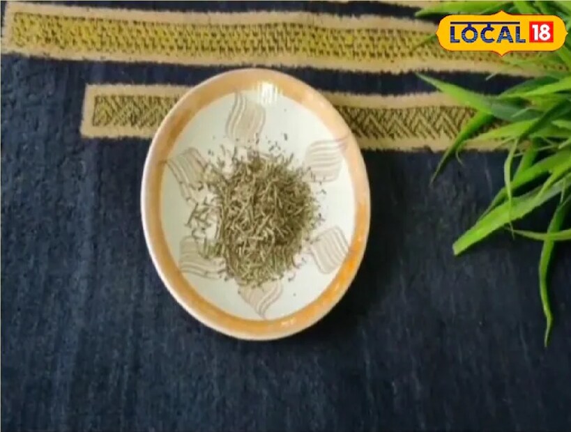 *রোজমেরিতে প্রচুর পরিমাণে সামুদ্রিক অ্যাসিড এবং ক্যাফেইক অ্যাসিড পাওয়া যায়। তাই এটি চুল লম্বা করতে এবং চুলের রঙ পরিবর্তন রোধেও ব্যবহৃত হয়। সংগৃহীত ছবি। 